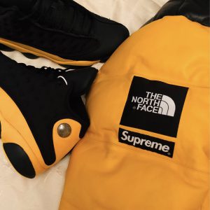 SUPREME×THE NORTH FACE 17FW LEATHER NUPTSE JACKET シュプリーム ...