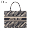 Dior 2020SS DIOR BOOK TOTE Dior Oblique スモール M1296ZRIW_M928