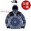 【1枚だけ在庫】THE NORTH FACE ザノースフェイス SUPREME BANDANA JACKET マウンテンジャケット ブルー