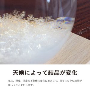 テンポドロップ ミニ ストームグラス 天気がわかる置物